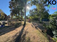 Gartenfläche und Kinderspielbereich